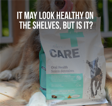 FreshPupFarms_Shopify_WhyFresh_C2.1-04.png__PID:fe542695-7180-4c2d-9ce1-6a4de0962a3a