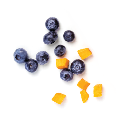 FreshPupFarms_Shopify_WhyFresh_C2.1.png__PID:31e27b98-d00b-4e15-aaa4-c7a38f963ea7