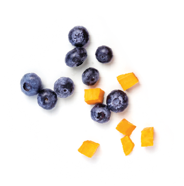 FreshPupFarms_Shopify_WhyFresh_C2.1.png__PID:31e27b98-d00b-4e15-aaa4-c7a38f963ea7